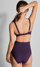 Empreinte Iconic Bikini High Waist Brief Prune-brownslingerie